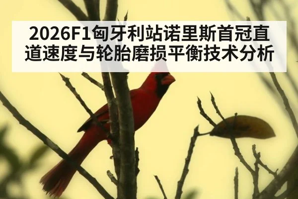 2026F1匈牙利站诺里斯首冠直道速度与轮胎磨损平衡技术分析