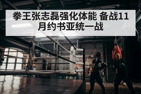 boxer endurance training