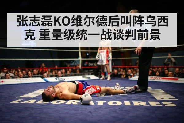 张志磊KO维尔德后叫阵乌西克 重量级统一战谈判前景